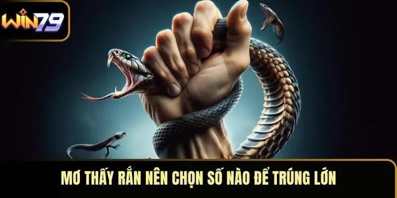 Mơ thấy rắn nên chọn số nào để trúng lớn